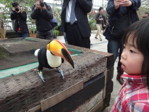 シャッターチャンス　坪井壽子様