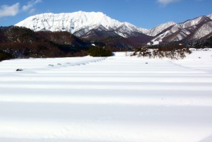 江府の里