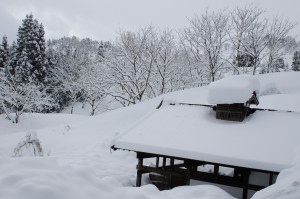 大沢山温泉　A.F様